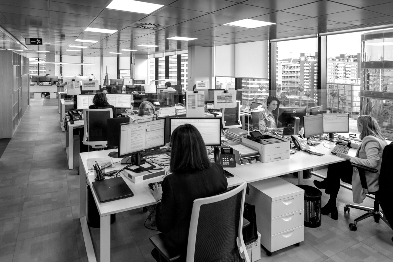 Discover all the services we offer to our clients.